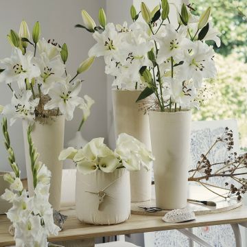 Collezione di Bulbi per Bouquet moderni bianchi