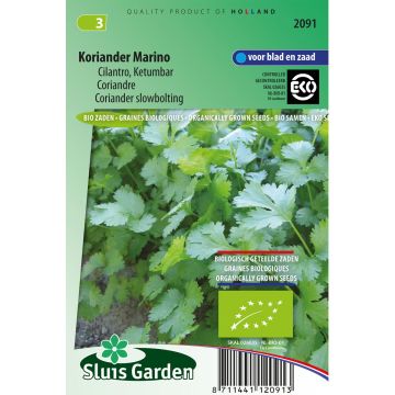 Coriandolo Marino Bio
