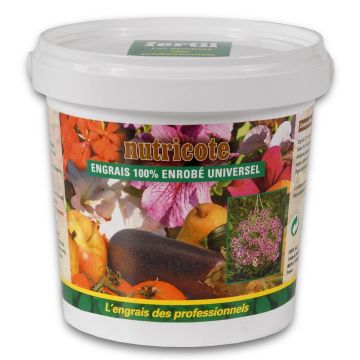 Fertilizzante professionale rivestito Nutricote 12-10-10 Fertil in secchio da 1 Kg