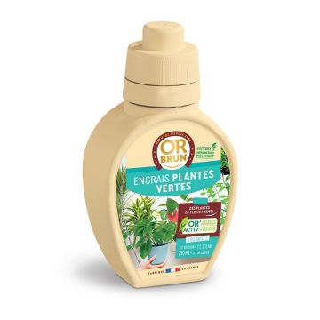 Concimi liquidi Piante d'appartamento/verdi Or Brun