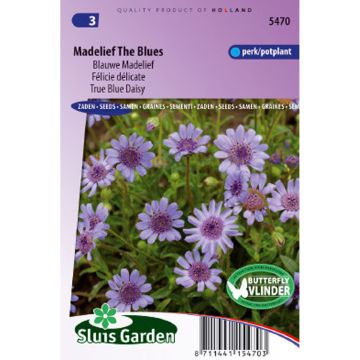 Felicia heterophylla The Blues - Agatea