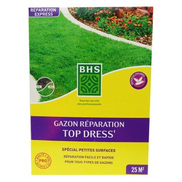 Prato di riparazione Top Dress' BHS