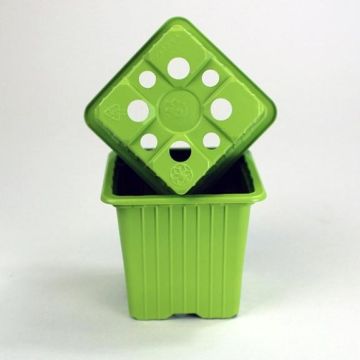 Vaso di moltiplicazione colore Verde bambù - venduto in confezione da 30