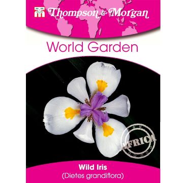 Dietes grandiflora (semi)