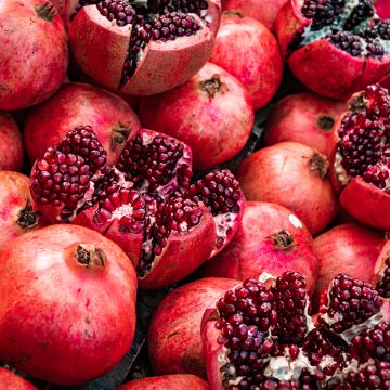 Punica granatum Acco - Melograno