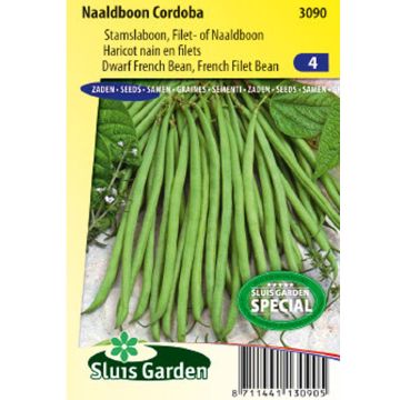 Fagiolo nano Cordoba