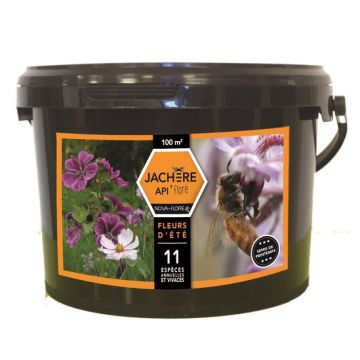 Tasso mellifero fiori estivi