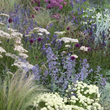 Giardino naturalista secco per 2m²