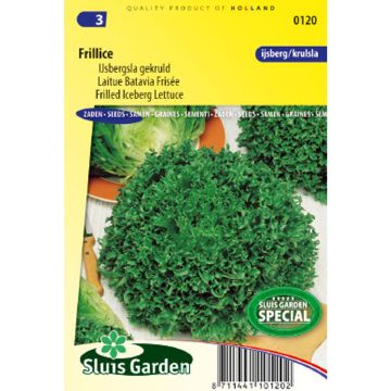 Lattuga batavia frisée Frillice