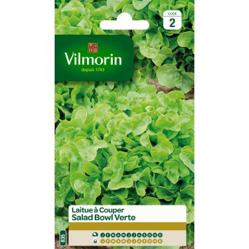 Lattuga a cespo Salad Bowl Verde - Vilmorin