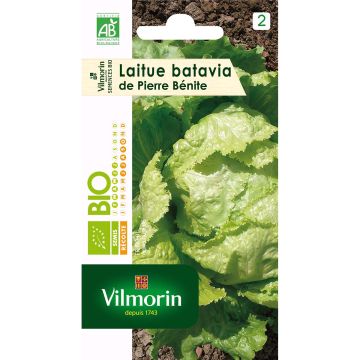 Lattuga batavia di Pierre Bénite Bio - Vilmorin