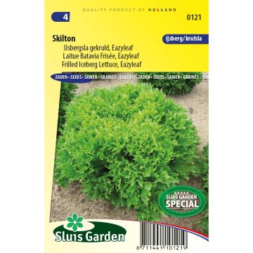 Lattuga batavia Eazyleaf Skilton