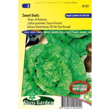 Lattuga romana Paspartu