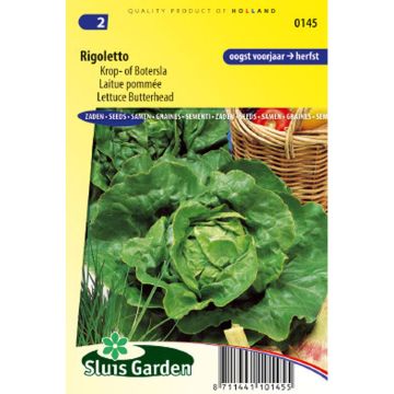 Lattuga a cappuccio Rigoletto