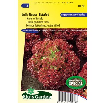 Lattuga a cespo Lollo Rossa - Estafet