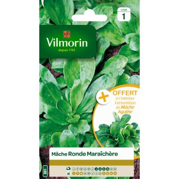 Soncino Ronde Maraîchère - Vilmorin
