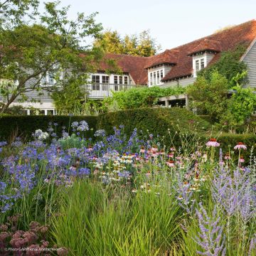 Ai tuoi occhi, un massiccio di cottage è un vero e proprio angolo di paradiso nel tuo giardino. Questo tipo di giardino, ispirato ai cottage inglesi, è caratterizzato da un mix di fiori colorati, piante aromatiche e arbusti rustici che creano un'atmosfera