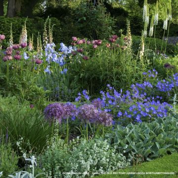 Massiccio misto per 3m²