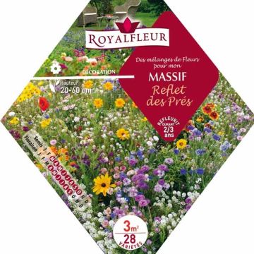 Mistura per aiuola riflesso dei prati - Bustina 3 m2