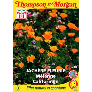 Semi di Fiori selvatici - Miscela Californiana