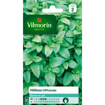 Melissa officinalis - Vilmorin - Melissa vera