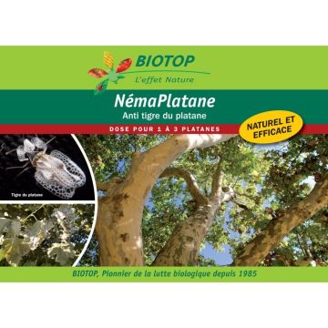 Nematodi NémaPlatane Biotop contro le cicaline del platano confezione da 100 milioni
