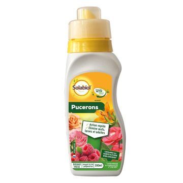 Afidi Solabiol su colza in flacone dosatore