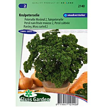 Prezzemolo riccio Mousse 2