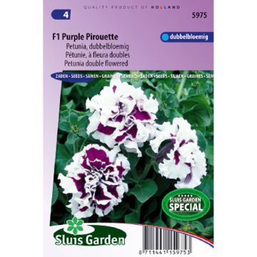 Petunia F1 Purple Pirouette