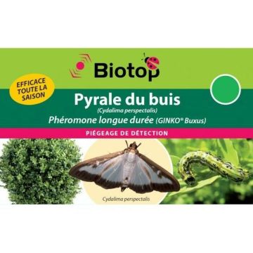 Feromone Piralide del Bosso Cydalima perspectalis - 1 capsula Lunga durata GINKO BUXUS