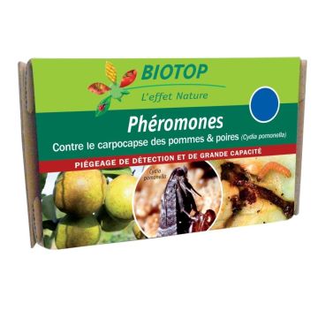 Feromoni Carpocapsa delle mele e delle pere (Cydia pomonella) Biotop - Confezione da 2 capsule