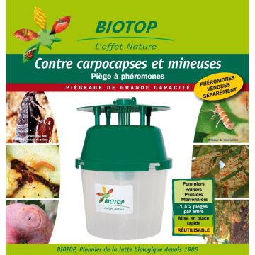 Trappola imbuto Biotop singola (vari lepidotteri: Carpocapsa, Minatrice fogliare dell'Ippocastano)