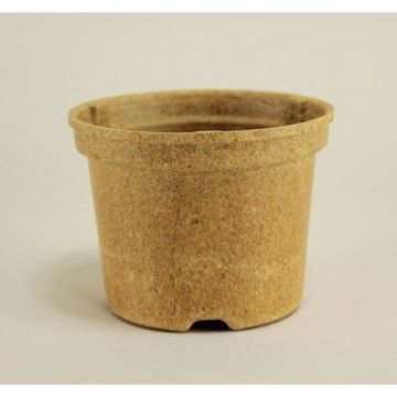 Vaso rotondo Biocompostabile Napac Ø10,5 cm - venduto in confezione da 5