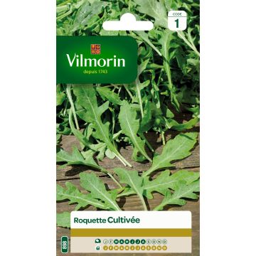 Rucola Astra - Vilmorin