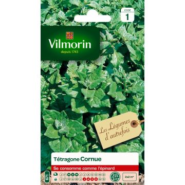 Tetragonia tetragonioides - Vilmorin - Spinacio della Nuova Zelanda