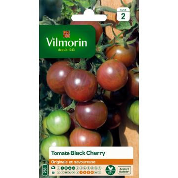 Pomodoro ciliegino/datterino Black Cherry - Vilmorin
