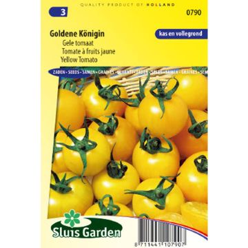 Pomodoro Goldene Königin