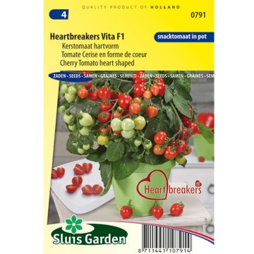 Pomodoro ciliegino/datterino Heartbreaker