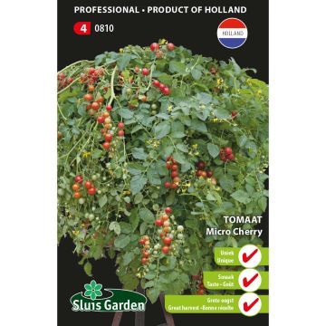 Pomodoro ciliegino/datterino Micro Cherry