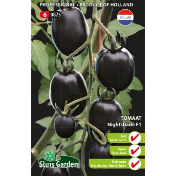 Pomodoro ciliegino/datterino Nightshade F1