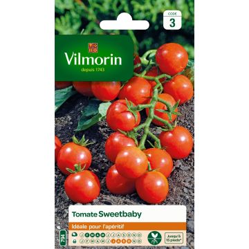 Pomodoro ciliegino/datterino Sweetbaby - Vilmorin