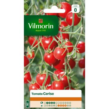 Pomodoro ciliegino/datterino - Vilmorin