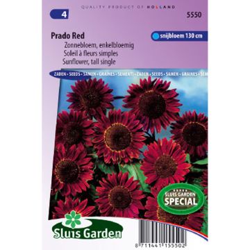 Girasole Prado Red