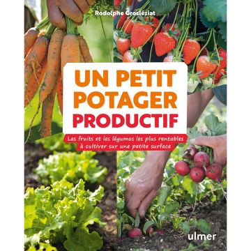 Un petit potager productif
