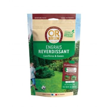 Kieserite fertilizzante rinverdente Or Brun 1 kg