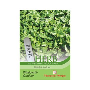 Basilico British Outdoor