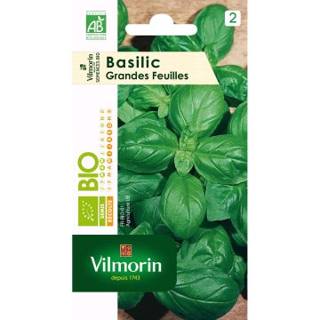 Basilico Grande verde Bio - Vilmorin