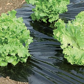 Film per pacciamatura nero e argento pre-tagliato 30 micron 1.40 x 10 m