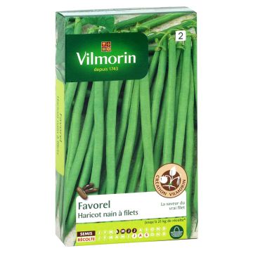 Fagiolo nano Favorel