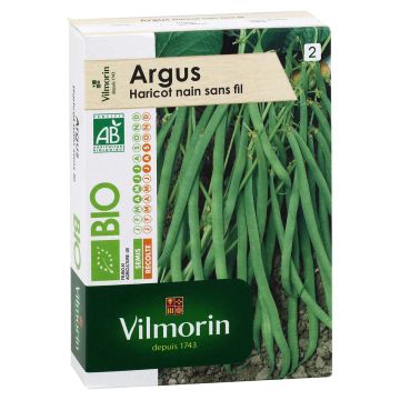 Fagiolo nano Argus Bio - Vilmorin